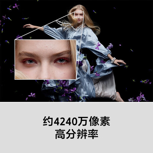 Sony (Sony) ILCE-7RM3A Full-Frame Micro-Single Digitalkamera etwa 42,4 Millionen effektive Pixel 5-Achsen-Anti-Shake A7R3A Tamron 28-200 (große Blende und ein Spiegel, um um die Welt zu reisen) Paket 2