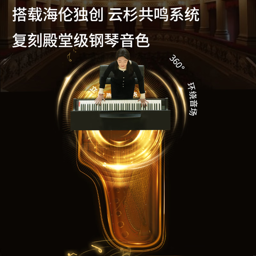 Hailun Electric Piano H305 Elegant Black Graded Heavy Hammer 88 Keys Original Steel Tone Home Intelligent Children Beginner Grade Examination