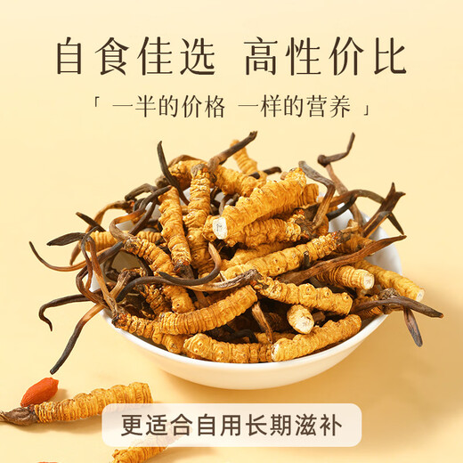 任十问野生冬虫夏草 西藏那曲断虫草甄选品质自用实惠家人滋补 高端送礼 【野生】甄选大断草 20克【家庭养补】