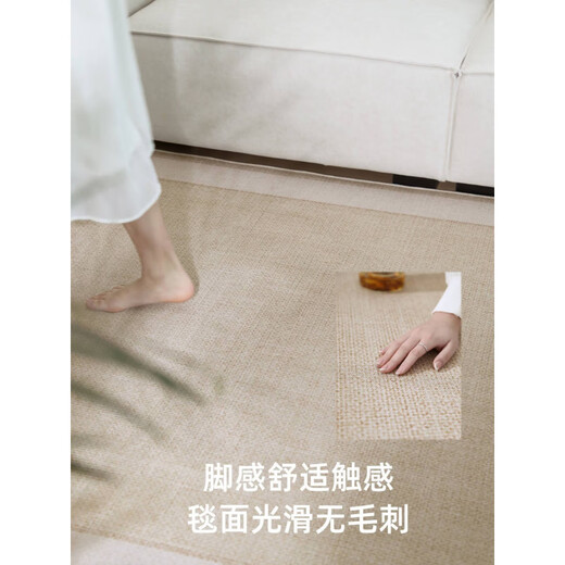 奢概念客厅地毯轻奢感免洗现代简约 25新款凉席夏季冰丝榻榻米可擦 宜沐-15780 200cm*300cm 款