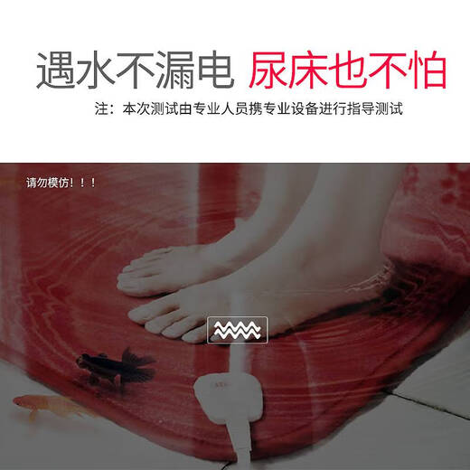 咏幻牌电热毯单双人双控电褥家用调温除螨定时三人大床防水无辐射 双人双控两档调温B1518H-48 长1