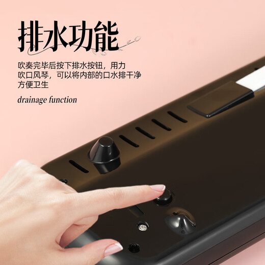 Romusic mouth organ, 37-key EVA hard-packed mouth organ for primary school students, children's beginner playing instrument, black