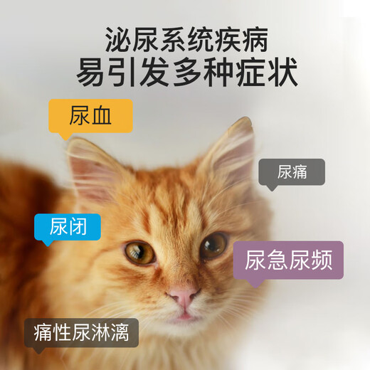 Diamond Care Diamond Care Imported Prescription Cat Food Bladder Stone Urinary System Adult Cat Food 2.72/6.8kg 6.8kg Urinary Cat Food Validity After 26 Years and May White 0g More than 6 Months