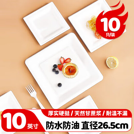 MAXCOOK Disposable Paper Plate Dinner Plate Biodegradable Cake Plate Picnic Bakeware 10 inches 10 pieces MCPJ7527