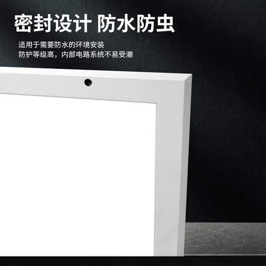 Pinjian LED ultra-thin purification lamp flat panel lamp dust-free workshop hospital operating room lighting integrated ceiling lamp surface-mounted clean lamp 300*1200 48w next day delivery