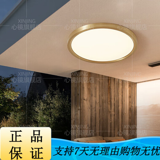 Heart mirror full copper outdoor ceiling light villa gate ultra-thin front light outdoor aisle balcony lamp mosquito-proof courtyard light X3893-500/square