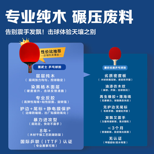 Pisces (DOUBLE FISH) table tennis racket Black Warrior 5-star competition-level single racket professional-level horizontal pen-hold racket beginner racket 5-star horizontal racket