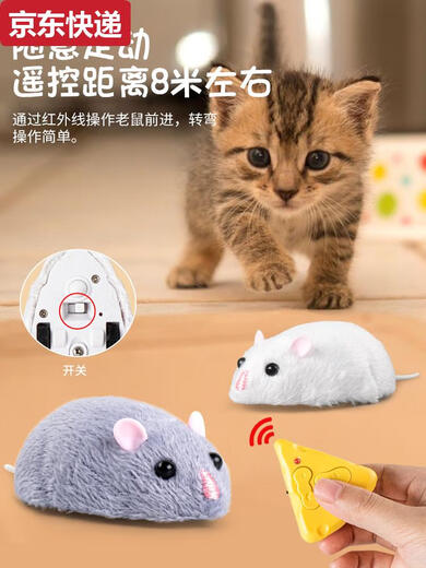 
Connecting cat machine mouse intelligent technology electric remote control boy and girl 0-2 years old and above simulated prank children's toys 3 yellow and black model remote control centipede 9901+ screwdriver official standard