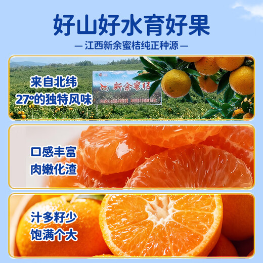Xinyu mandarine fruits frais mandarine mandarine fraîche mandarine mandarine mandarine verger droit mandarine fraîche mandarine coffret cadeau 5 Jin Jin équivaut à 0,5 kg Pack de partage (poids net 4,5 Jin Jin équivaut à 0,5 kg) 80 % des personnes choisissent 40-50 mm 5A est très doux