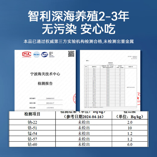 Meiwei frozen Chilean salmon steaks 2-3 slices net weight 400g Atlantic salmon seafood aquatic fish