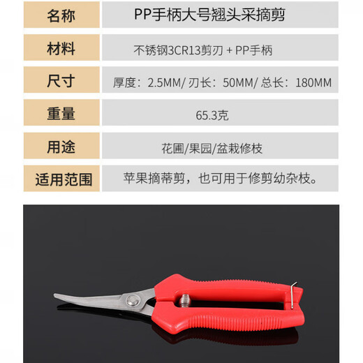 Yeyu stainless steel large tilt-head fruit picking scissors, tomato navel orange fruit scissors, special scissors for oranges and grapes, stainless steel tilt-head pruning scissors, 1 pair, with serrations for sharper