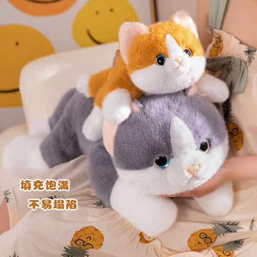 威尔通（WELTSTON）毛绒玩具玩偶抱枕摆件靠垫娃娃生日礼物女生 仿真小橘猫咪公仔