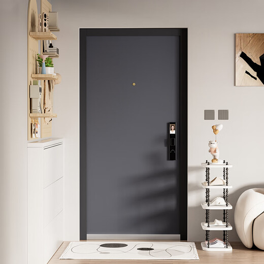 OUDILE thickened Class A security door entrance door + anti-plitting and explosion-proof safety door mother door + smart door lock fingerprint lock Technology cloud lock 1970/2050*960/860 Single door raised door lintel