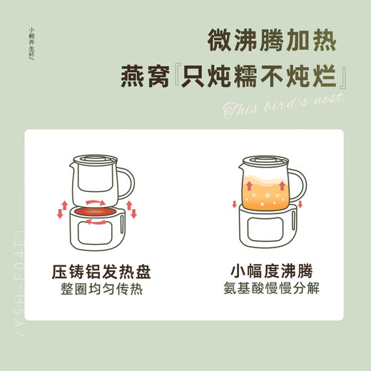 Bear Mini Health Pot Office One Person Health Cup Small Full Glass Thermostatic Kettle Insulated Electric Coaster Flower and Fruit Tea Boiling Water Electric Kettle Autumn and Winter Health Gifts Recommended YSH-F04E1 All Glass Cup 0.4L With Filter Ladle