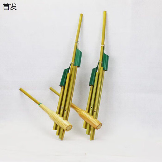 Swan (Swan) Guizhou Miao Traditionnel Lusheng Trumpet 6-tube 6-tube 6-tube 6 tube 6 tube 6 tube 6 tube 6 tube 6 tube 6 tube 6 tube 6 tube 6 tube 6 tube
