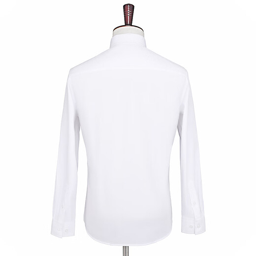 Haipaihaoyu Shirt à manches longues Molie Business Forme Formelle sans repasser Couleur solide de mariage Solide Mend Men's Wedding Top White CS3012 White L (170) [Recommandé 116-125jin [Jin est égal à 0,5 kg]]]