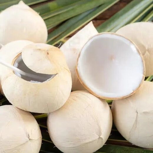 Jingxiansheng Coconut King imported from Thailand, 4 pieces, single fruit 500-600g, fruit gift, straight from the source