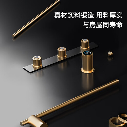 巴勒摩 G672暗装电热毛巾架智能可调温定时别墅极简精铜烘干浴巾架 2+1枪灰色竖款（烘干浴袍）