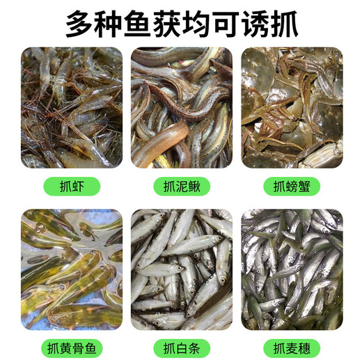 God Shark 8 hole diameter 60 fish net shrimp cage fishing cage automatically folds out only into the fishing net ground dragon net eel cage fishing gear