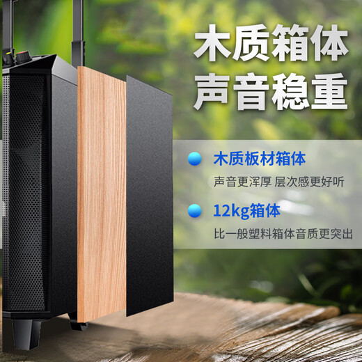 Malata M+9017C outdoor electric acoustic guitar folk singing instrument speaker square dance performance audio wireless Bluetooth home trolley speaker U-section microphone 12 inches