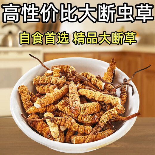Cordyceps sinensis large broken grass Tibetan area high-quality cordyceps self-eating discount on the same day shipment 2025 head-off cordyceps Tibetan area high-quality large broken grass 20 grams pack