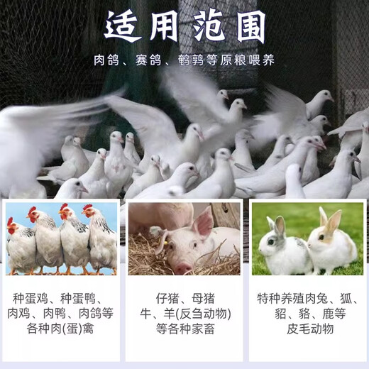 Unbranded antifungal agent for pigeons, pigeons, veterinary use, cattle, sheep and poultry, special pigeon feed additive to remove mycotoxins, one bag, 500g/bag, just eat it