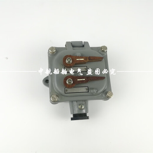 
250V marine IP56 single handle switch AB1 double handle switch AB2 ABD2 handle type CB/T756-1999 single handle switch ab1/single contact