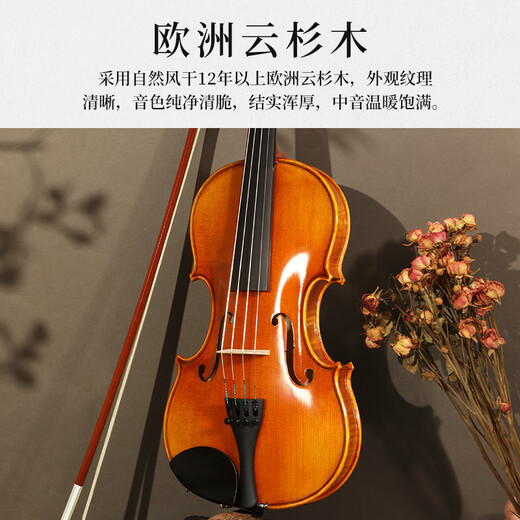 SUZUKI日本铃木小提琴欧料手工实木儿童成人4/4专业考级演奏 SV-18AL