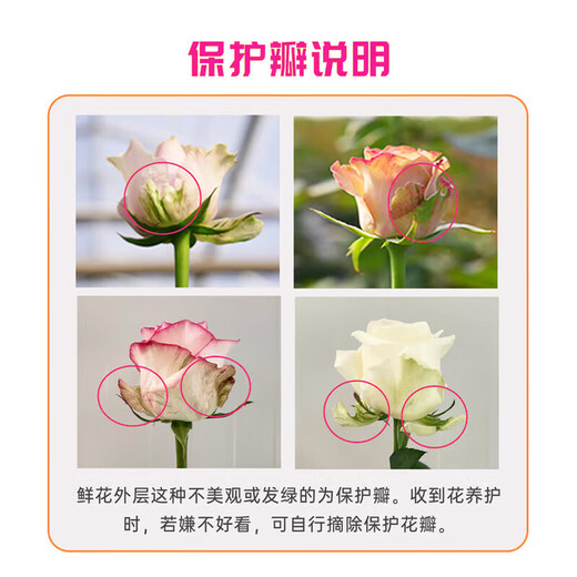 Jingdong Flowers Double 11 Yunnan Kunming base random color roses buy 20 and get 10 free with grass and flowers straight from the source
