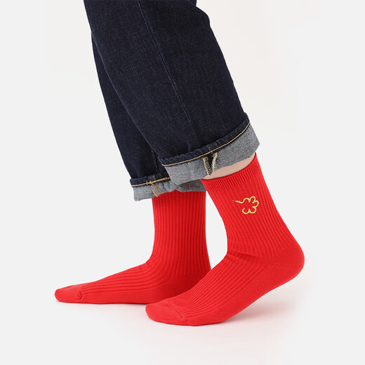 Tabio New Year red socks for men and women in spring and summer embroidered zodiac mid-tube socks for women's zodiac year of the snake year gift wedding Baiyun Jixiang (female) M 22.5-24.5c