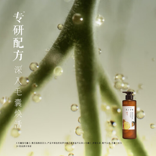 RECHERCHE CHEUR RECHERCHE GINGER ROOD TEA THIR BREATH CHILS Shampoing 530ml * 2 Shampooing anti-phares renforce les cheveux écarlates de cheveux