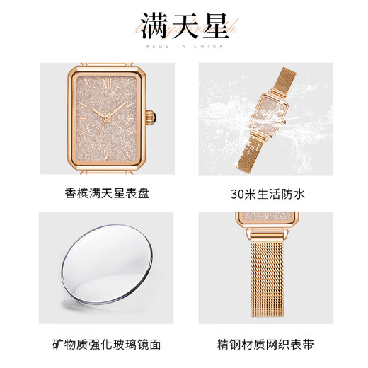 CALORIC KING满天星迷你石英手表女小方表气质简约风百搭款小金表 满天星CK15832