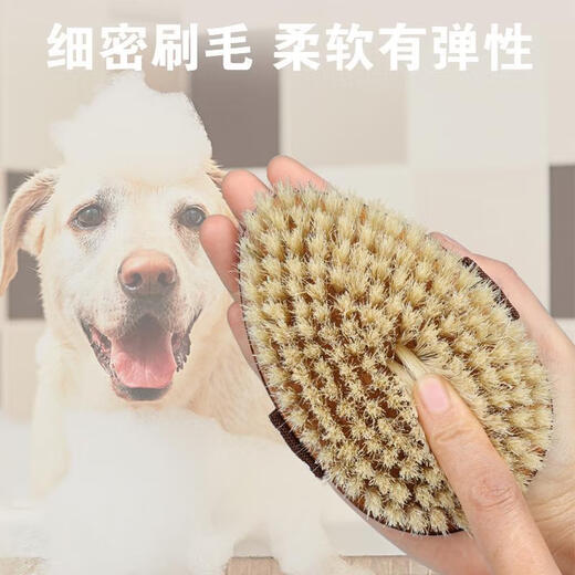 French bulldog special bristle brush dog comb to remove floating hair short-haired dog bath dual-use massage brush artifact bulldog paint hand brush