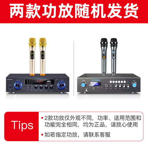 HYUNDAI现代家庭影院ktv音响套装家用k歌电脑电视客厅卡拉ok全套会议室卡包店铺专业功放音箱设备 【经典版】10吋音响套装