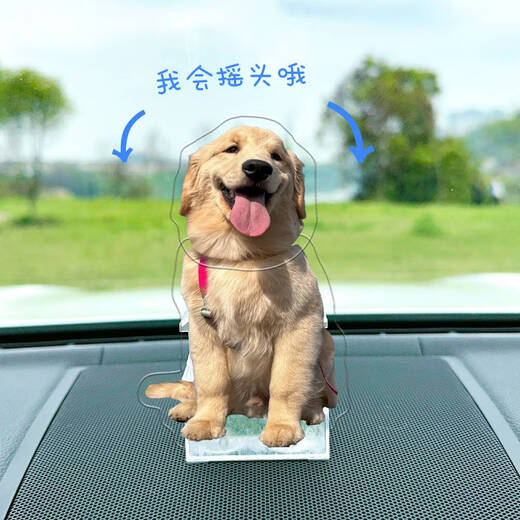 语森忆宠物摇头摆件定制车载摇一摇猫咪柴犬狗照片定制摇摇乐亚克力立牌 691款头像定制 太阳能电池双用