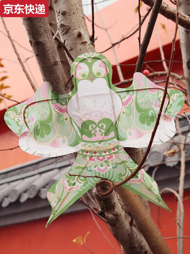 蓝彩何清明端午节踏青金鱼沙燕半成品民俗手工艺品纸鸢复古风筝礼盒装 o1283绿祥云-成品无法飞行34CM