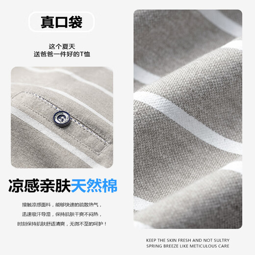 AEMAPE美国苹果中年爸爸夏装短袖t恤polo衫父亲节夏季薄款中老年人宽松 CJ9901浅蓝 M 165
