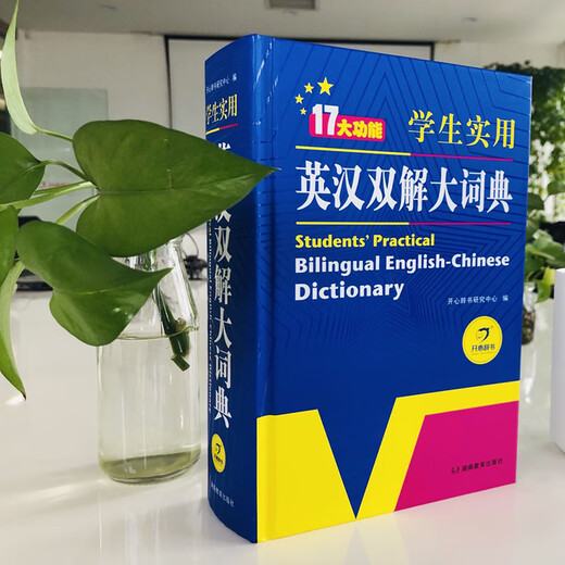 2025正版初中高中小学生实用英汉双解大词典高考大学汉英互译汉译英英语字典中小学专用新华牛津高阶大全 【热卖爆款】英汉双解词典