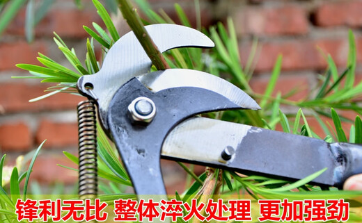 Bun Peng high-branch pruning branch scissors telescopic belt rope fruit picker high-altitude head high-altitude pruning thickened high-altitude shears No. 46