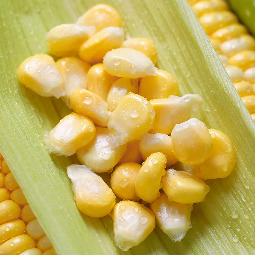 Fresh sweet corn Freshly picked fresh fruit corn Fresh sweet corn on the cob Fresh vegetables can be eaten raw for breakfast Fresh fruit corn 1Jin Jin equals 0.5kg Net weight starting from 300g