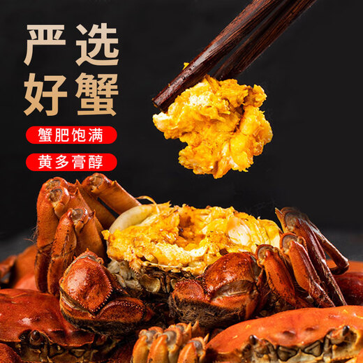 [Gift Certificate] Gusu Fisherman's Song Hairy Crab Gift Crab Coupon Crab Card Gift Box Gift Card Festival Gift Card Gift Card Gift Card Gift Card Royal Crab Model 9866 Type 6.5 Male 4.5 Female 4 pairs 4 pairs