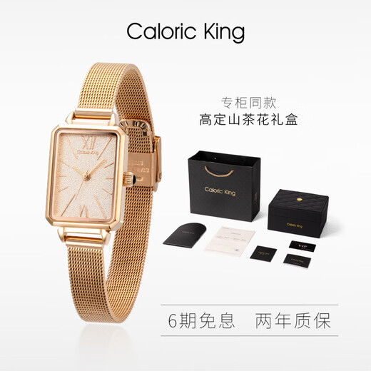 CALORIC KING满天星迷你石英手表女小方表气质简约风百搭款小金表 满天星CK15832