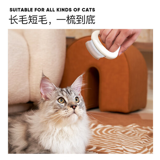 Lorde Lidou Cat Comb Cat Hair Cleaning Shell Comb Remove Floating Hair Combing Cat Supplies Spa Combing Cloud Cat Comb