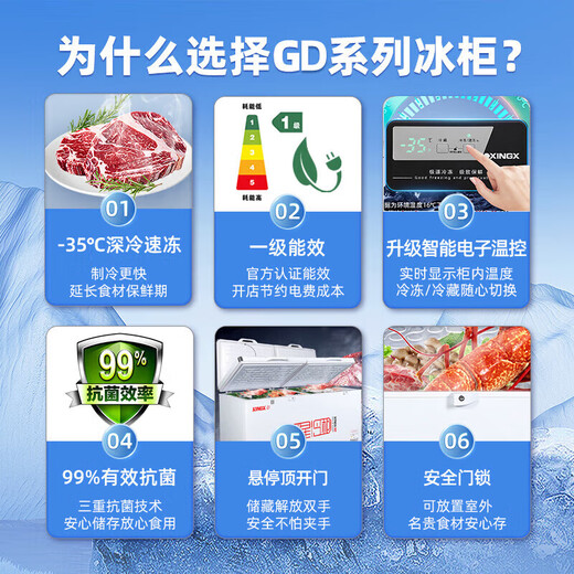 星星(XINGX)冰柜商用大容量全冷冻全冷藏冷柜卧式冰箱单温718g一级能效保鲜冷藏柜速冻柜BD/BC-718G