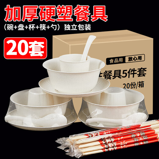SHUANG YU disposable tableware five-piece set * 20 servings bowls, chopsticks, cups, plates and spoons outdoor picnic individually packaged