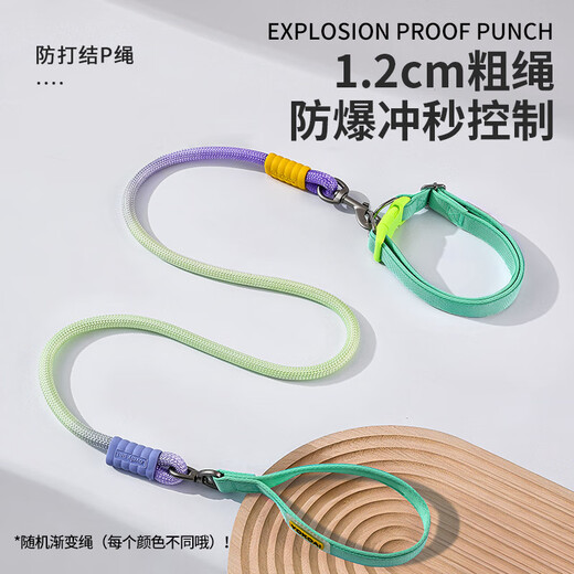 Pipitao pet traction rope gradient color rope multi-functional dog walking rope cat walking rope explosion-proof cat and dog rope pet dog rope collar gradient swivel neck pull green traction rope 1cm rope diameter