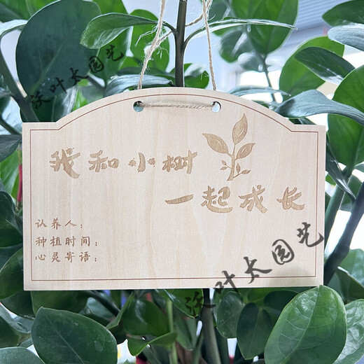 Yong Huan 10 pieces of custom-made wooden hanging tags for school Arbor Day tags, tree adoption tags, plant tags, name cards, blank boards, 10 pieces, note numbers