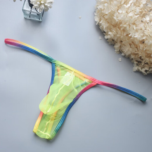 Taoluo Thong Men's Sexy Low Waist Transparent Pouch Men's Sexy High Elastic Underwear White S