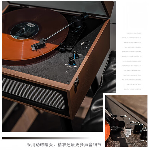 ROBERILLINE柏林之声复古黑胶唱片机留声机音响客厅装饰老式电唱机MM动磁唱头 古典棕
