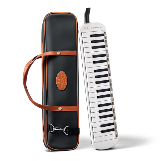 Импортная гармошка-гонг Chimei Leader с 37 клавишами (белая и черная, в полиуретановой сумке, с учебными материалами)